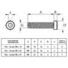 1.28.21.0080-vite-zincata-m6x25-misure-milper