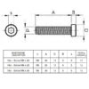 1.28.21.0100-vite-zincata-m8x20-misure-milper
